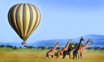 Smart Travel African Safaris Ltd