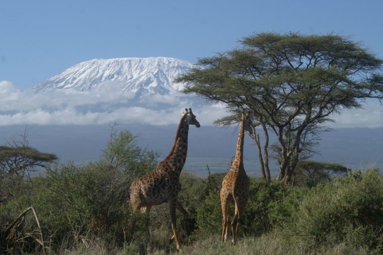Tour Operators for Kilimanjaro climbing trips Tanzania